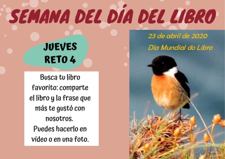 Reto Pasaporte Calasancias Vigo