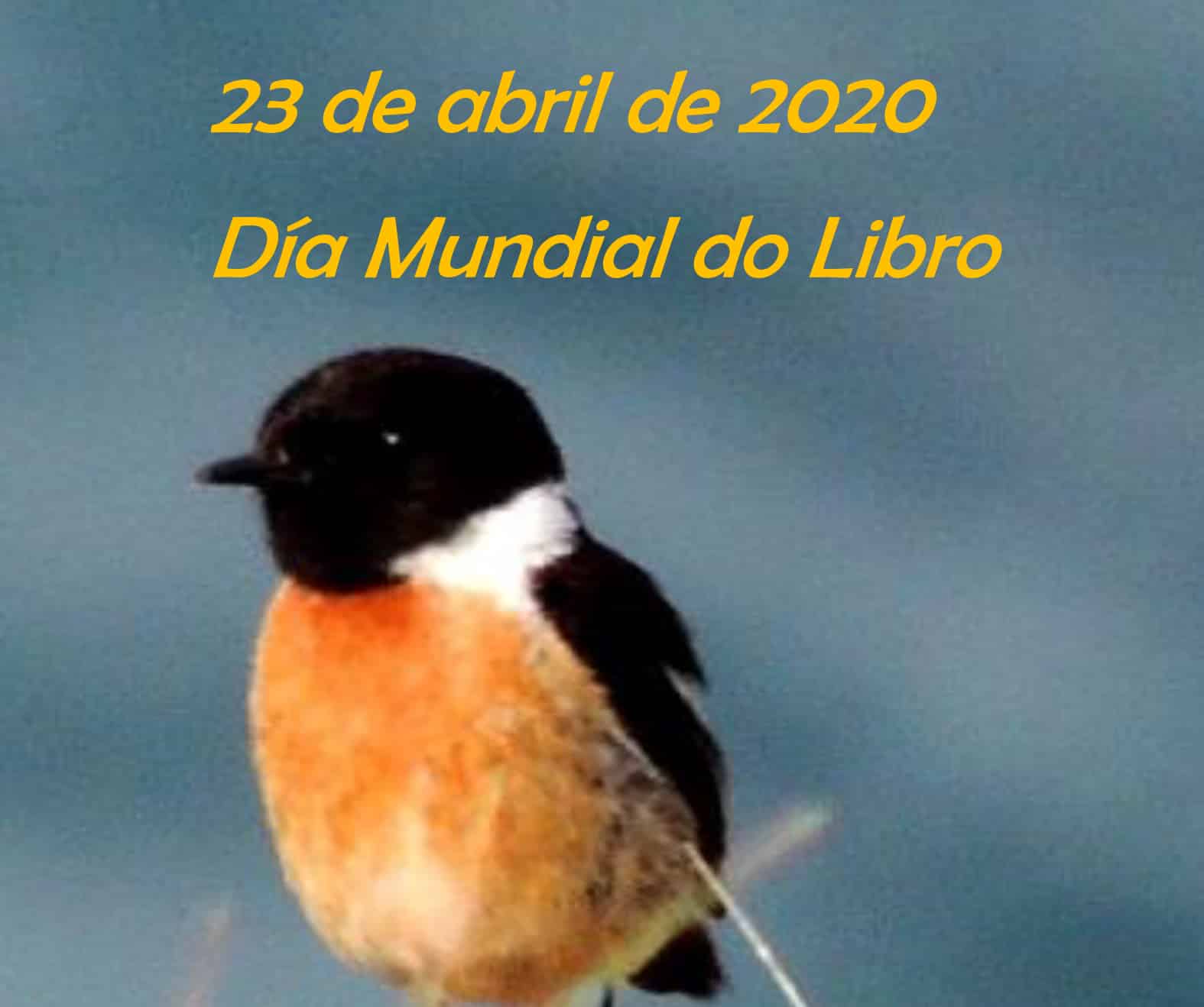Dia do libro